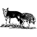 Dva vlci vektorový obrázek